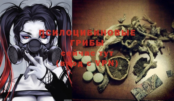 герыч Алзамай