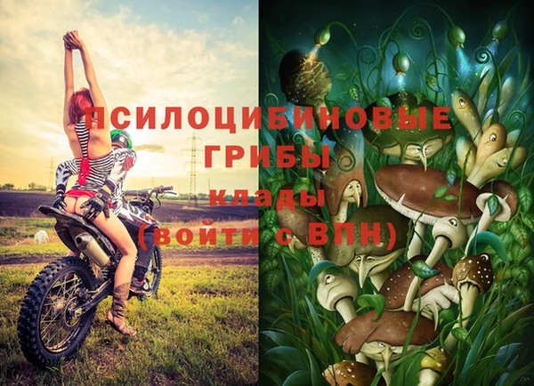 СК Алексин