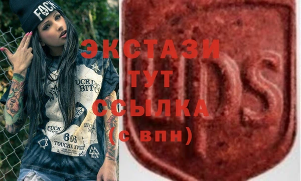 СК Алексин