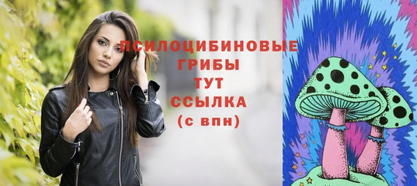 герыч Алзамай