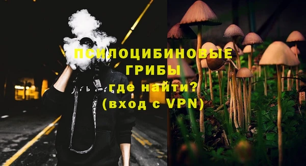 дмт Алексеевка